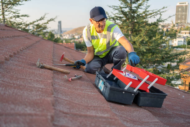 Best Storm Damage Siding Repair  in Homeland Park, SC